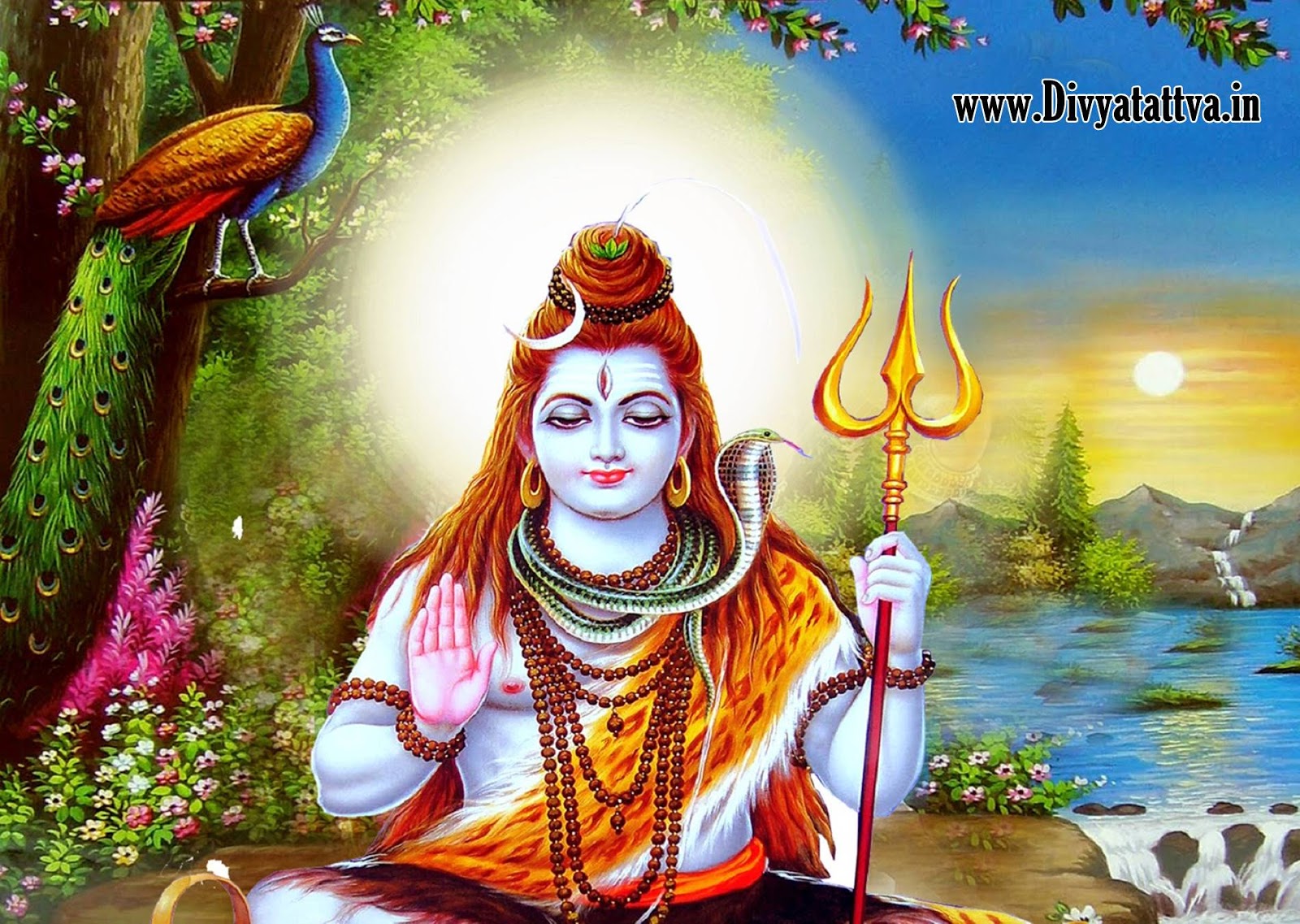 Lord Shiva Parvati Wallpapers Free Download For Mobile Gallerynew